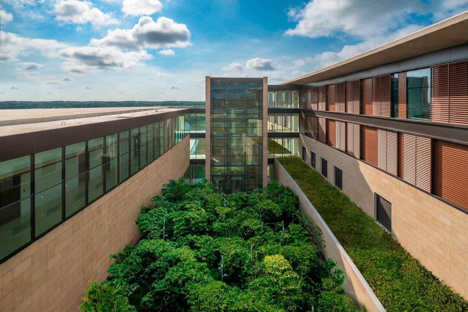 Thiết kế bệnh viện vườn